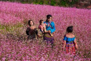 Tam Giac Mach Mang Den 02