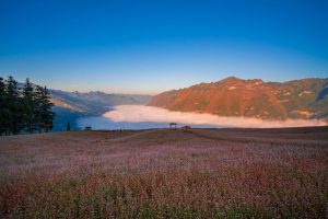 Tam Giac Mach Mang Den 04