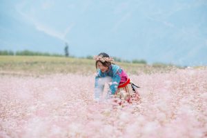 Tam Giac Mach Mang Den 06