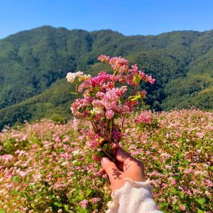 Tam Giac Mach Mang Den 07