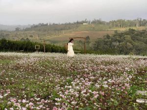 Tam Giac Mach Mang Den 09