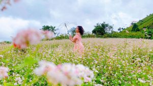 Tam Giac Mach Mang Den 10