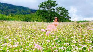 Tam Giac Mach Mang Den 11