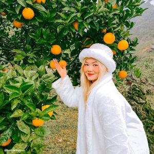 Vuon Cam Mang Den 04