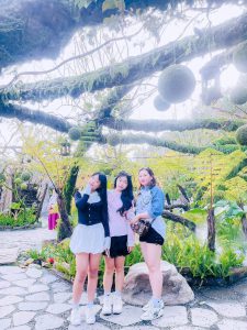 Tour Ghep Da Lat 02 01 2026 22