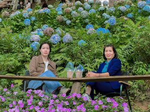 Tour Ghep Da Lat 12 01 2026 10