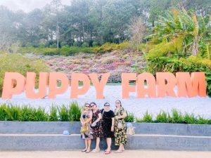 Tour Ghep Da Lat 22 12 2025 20