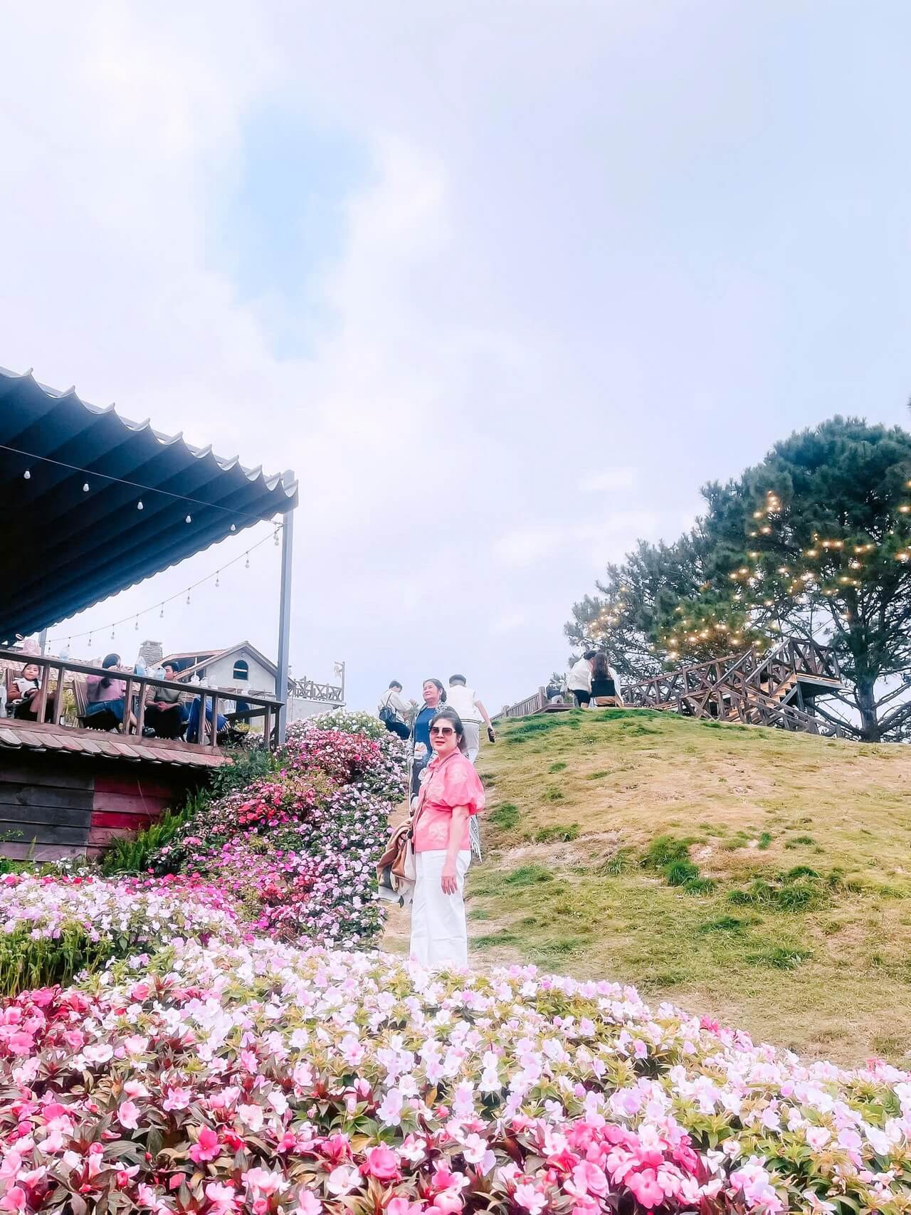 Tour Ghep Da Lat 23 01 2026 06