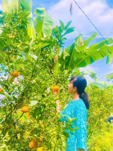 Tour Ghep Sa Dec 05 01 2026 18