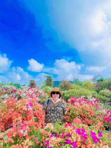 Tour Ghep Sa Dec 28 12 2025 03