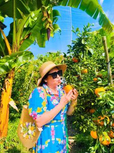 Tour Ghep Sa Dec 28 12 2025 07