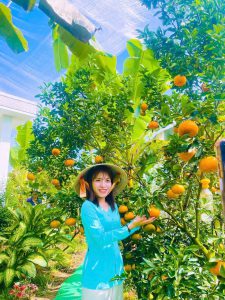 Tour Ghep Sa Dec 28 12 2025 14