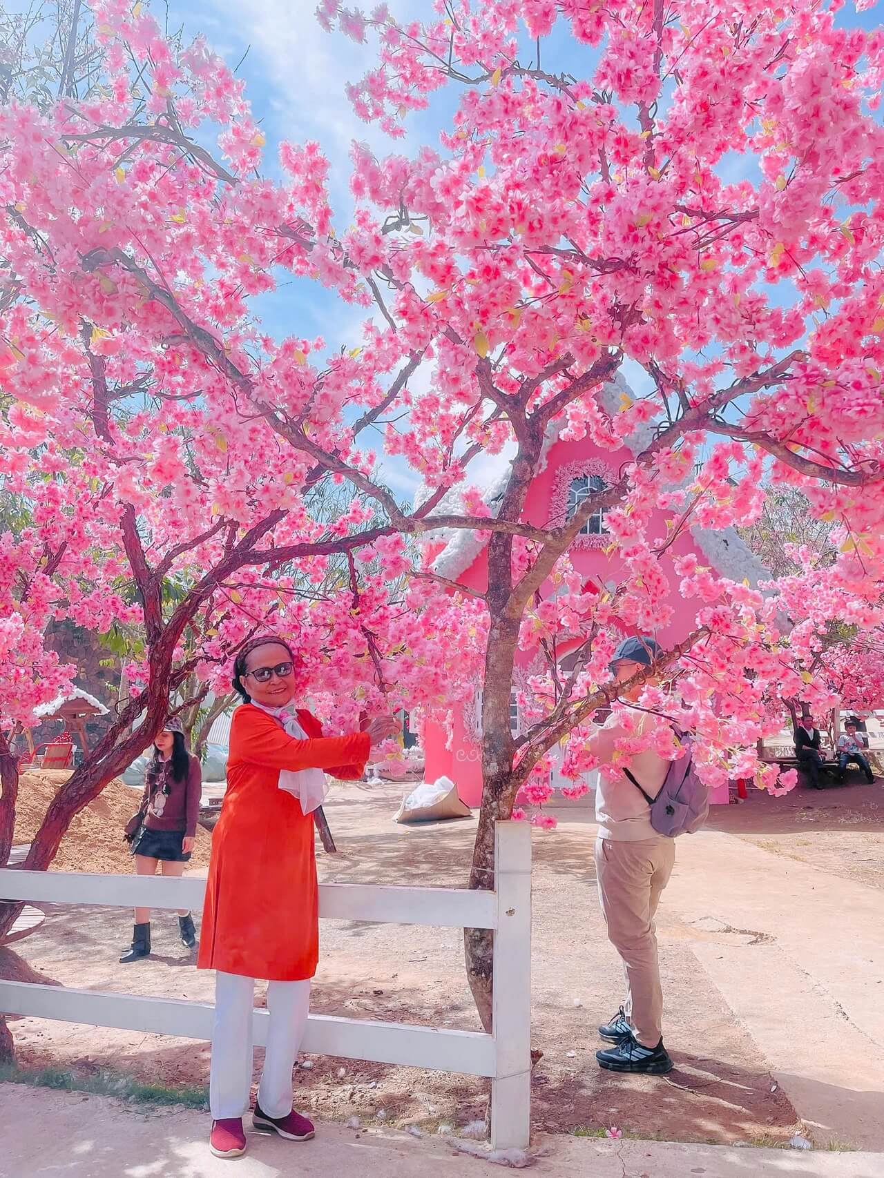 Tour Ghep Da Lat 06 02 2026 07