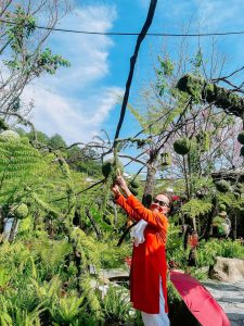 Tour Ghep Da Lat 06 02 2026 10
