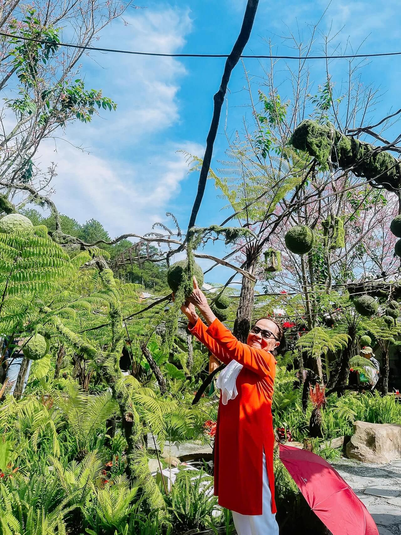 Tour Ghep Da Lat 06 02 2026 10