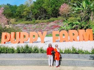 Tour Ghep Da Lat 06 02 2026 13