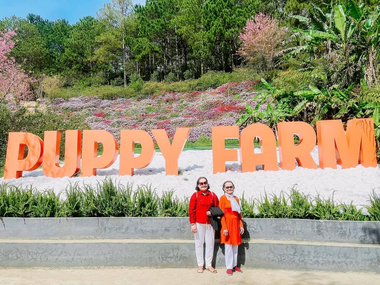 Tour Ghep Da Lat 06 02 2026 13