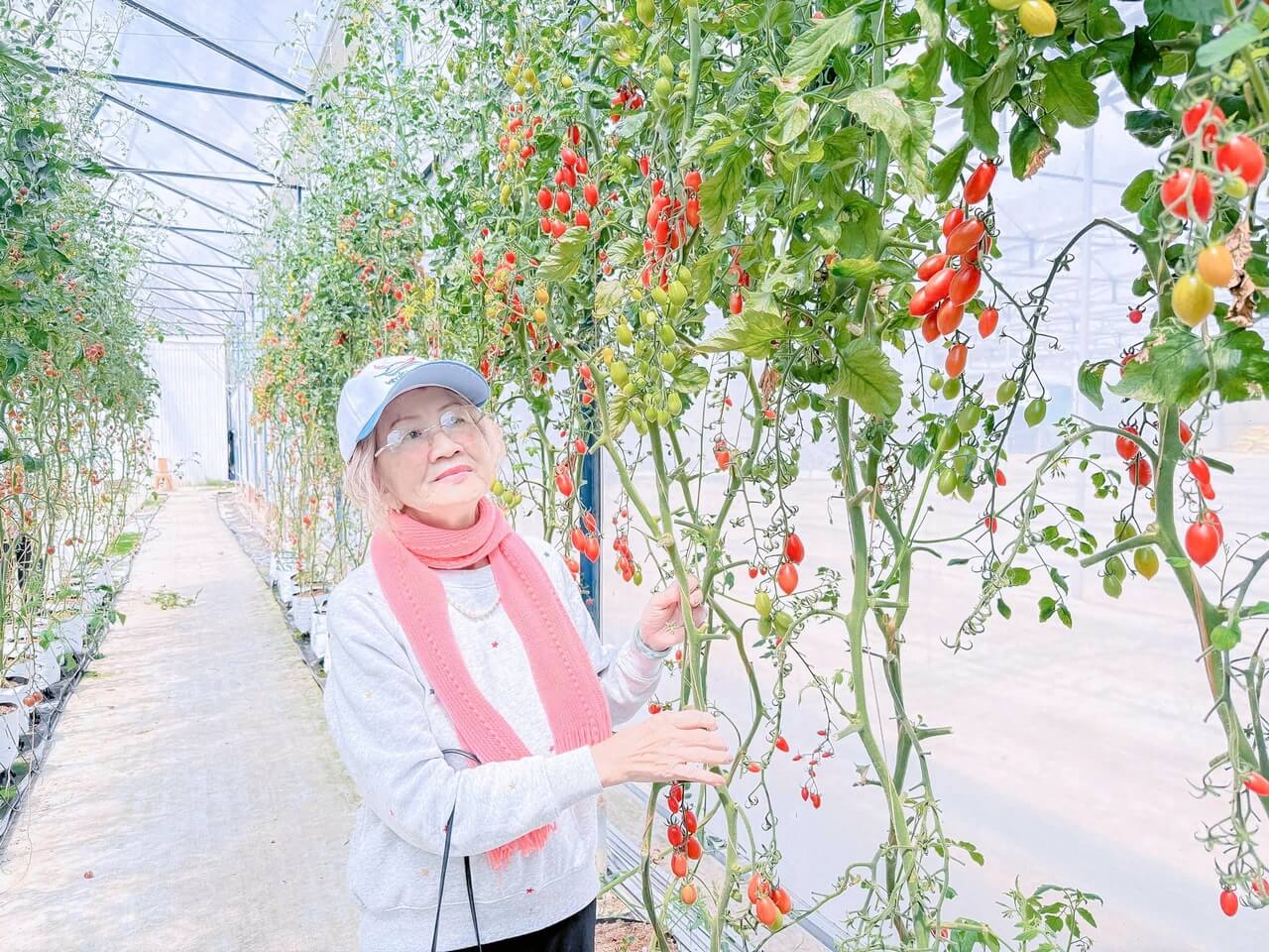 Tour Ghep Da Lat 09 03 2026 06