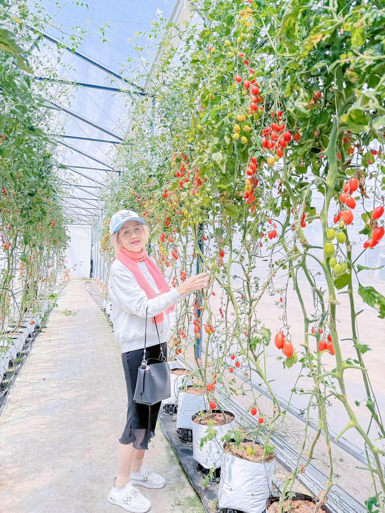 Tour Ghep Da Lat 09 03 2026 07