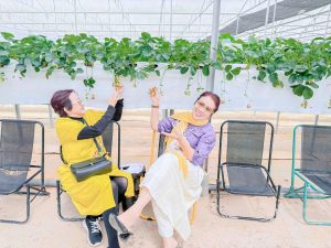 Tour Ghep Da Lat 09 03 2026 08