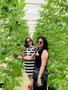Tour Ghep Mang Den 25 06 2026 07