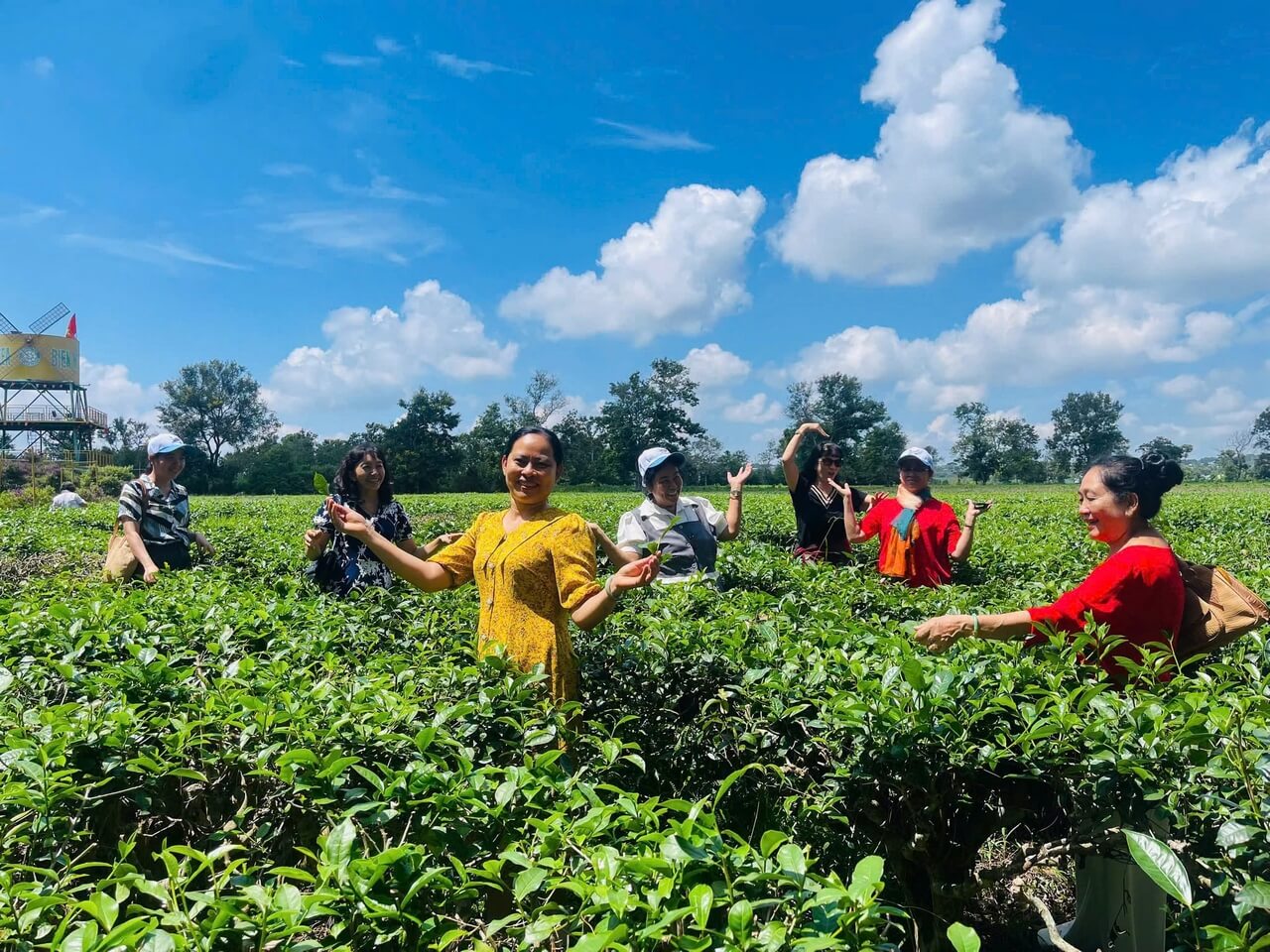 Tour Khach Doan Mang Den 19 06 2026 12