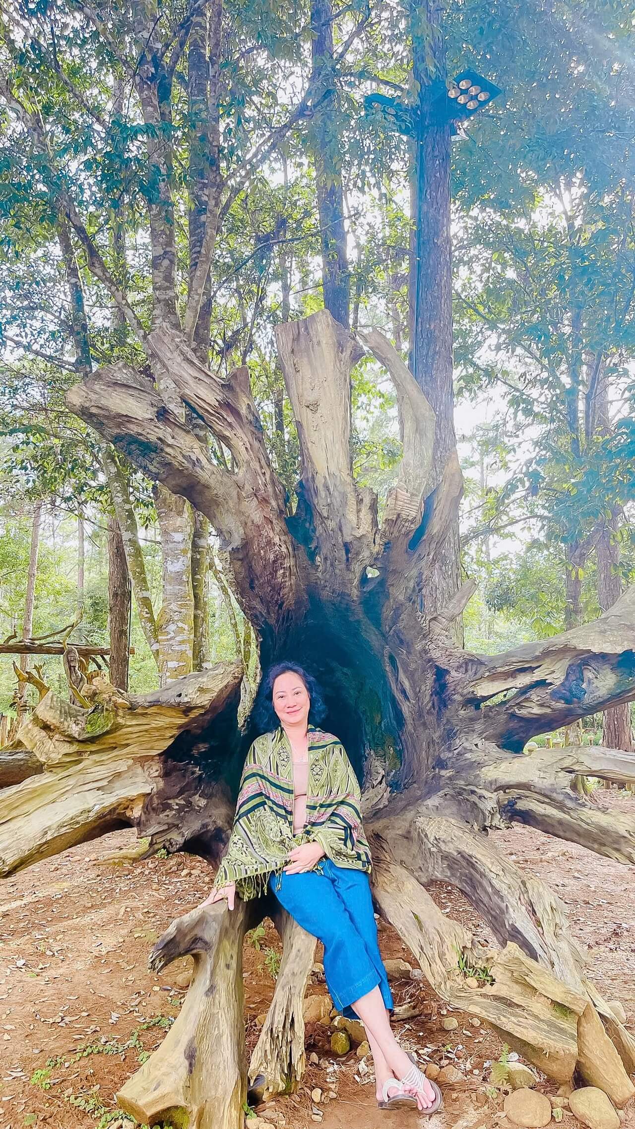 Tour Ghep Mang Den 31 08 2026 22
