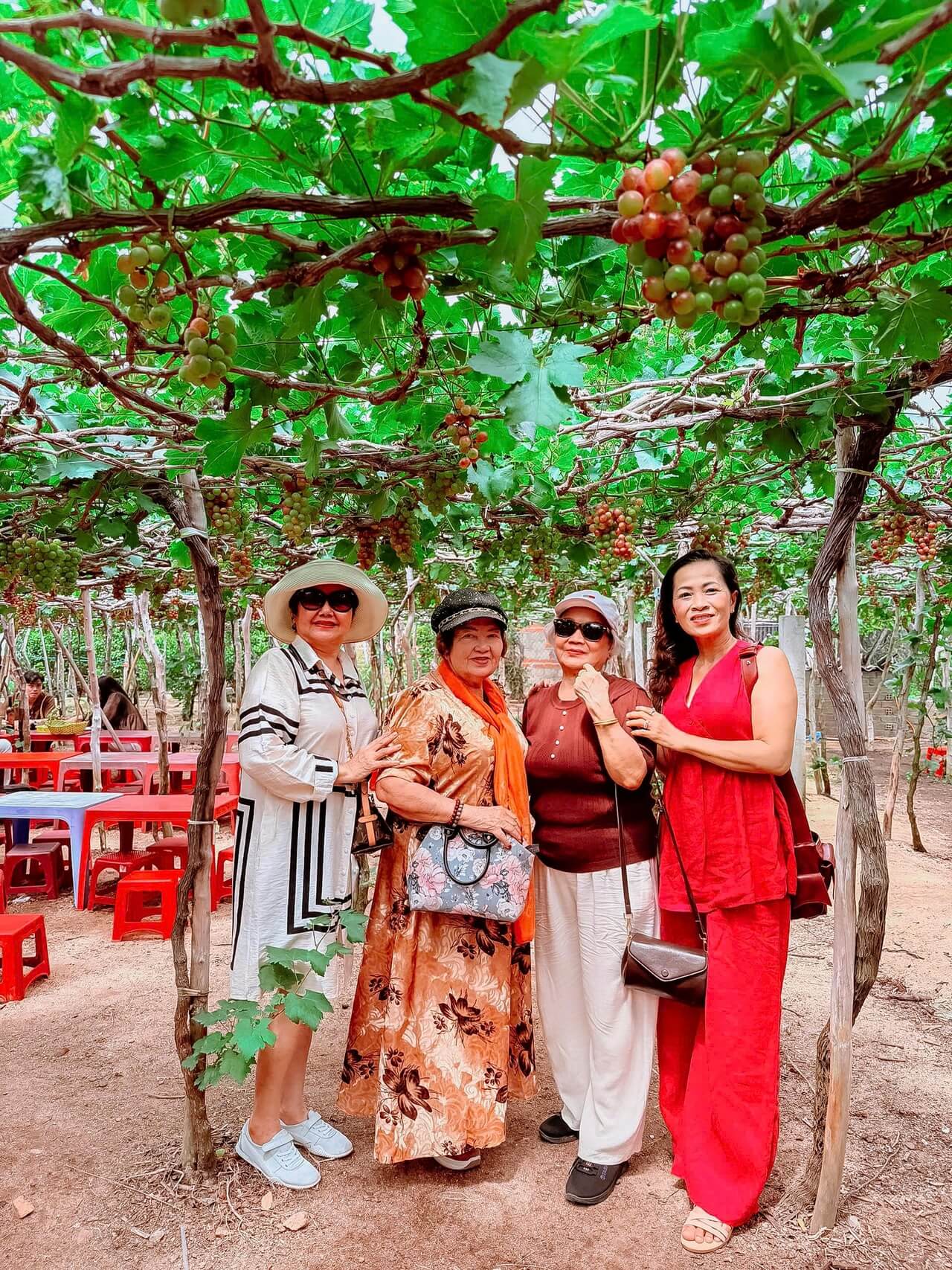 Tour Khach Doan Binh Hung 10 08 2026 02
