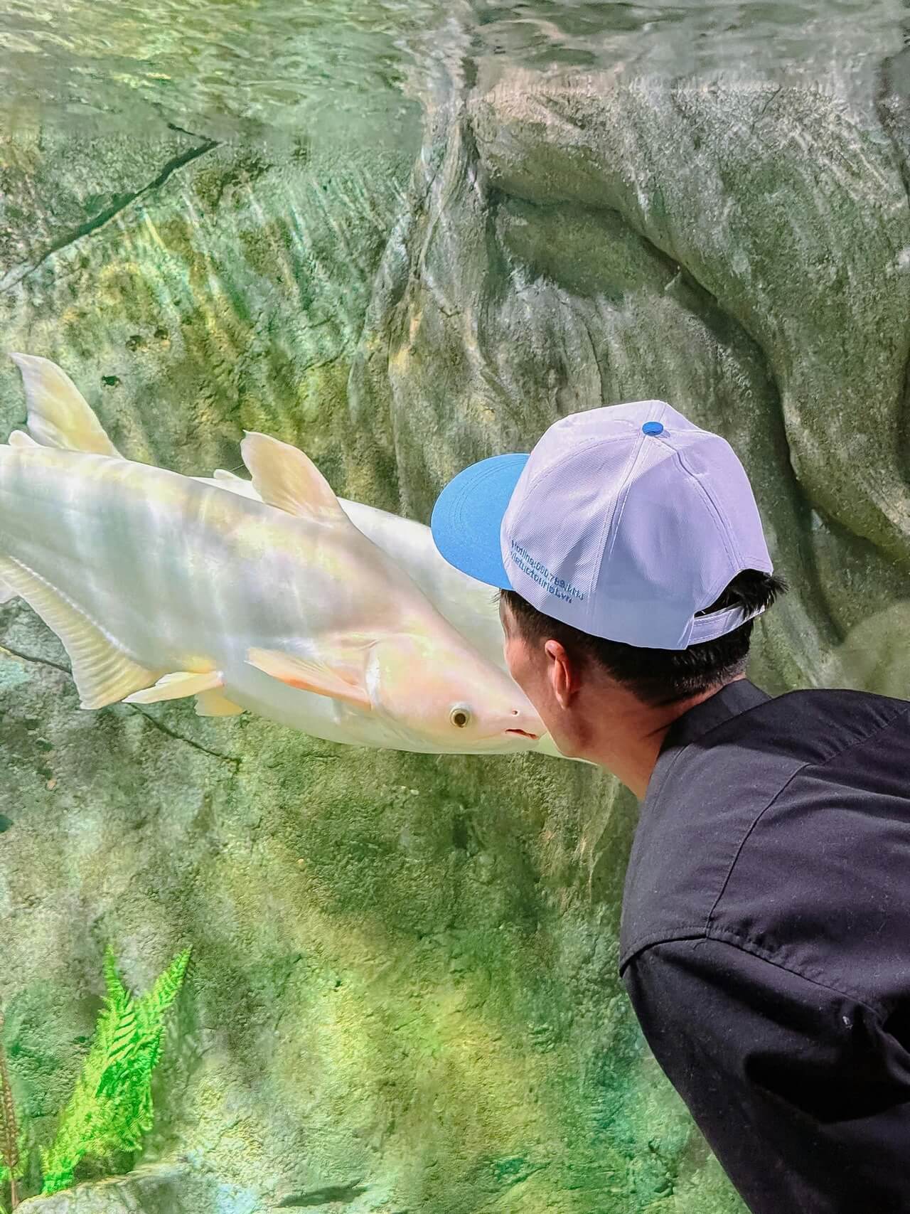 Tour Khach Doan Nha Trang 02 08 2026 08
