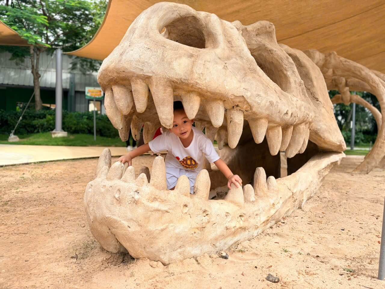 Tour Khach Doan Phan Thiet 27 08 2026 28